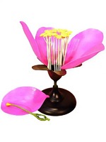 Модель цветка яблони - fgospostavki.ru - Челябинск