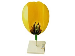 Модель цветка тюльпана - fgospostavki.ru - Челябинск