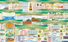 Комплект таблиц "Экология (9 листов)" (100х140 сантиметров, винил) - fgospostavki.ru - Челябинск