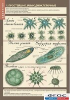 Комплект таблиц. Биология 7 класс. Животные. - fgospostavki.ru - Челябинск