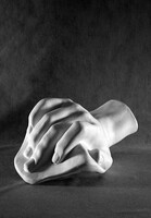 Кисть Давида (гипс) - fgospostavki.ru - Челябинск