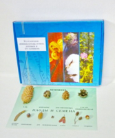 Коллекция "Шишки, плоды, семена деревьев и кустарников" - fgospostavki.ru - Челябинск