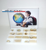 Коллекция "Древесные породы" - fgospostavki.ru - Челябинск