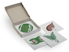 Модель-аппликация "Размножение папоротника" (набор из 8 карт) - fgospostavki.ru - Челябинск