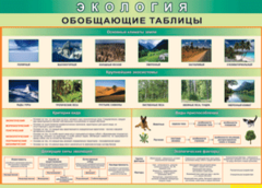 Таблица "Экология. Обобщающие таблицы" (100х140 сантиметров, винил) - fgospostavki.ru - Челябинск