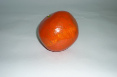 Муляж "Гранат" - fgospostavki.ru - Челябинск