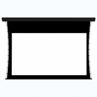 Экран настенный с электроприводом DSTPX-16915 - fgospostavki.ru - Челябинск