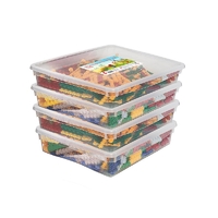 Набор для конструирования «Фанкластик: весь мир в руках твоих 4 (4-5 лет)» - fgospostavki.ru - Челябинск