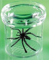 Баночка для изучения насекомых GeoSafari - fgospostavki.ru - Челябинск