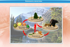 Интерактивные курсы. Биология 7 класс. Базовый. - fgospostavki.ru - Челябинск