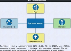 Интерактивные курсы. Биология 5 класс. Базовый - fgospostavki.ru - Челябинск