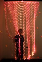 Мерцающий занавес в комплекте с источником света - fgospostavki.ru - Челябинск