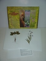 Гербарий "Лекарственные растения" (20 видов) - fgospostavki.ru - Челябинск