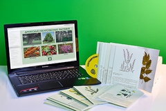 Гербарий натурально-интерактивный "Лекарственные растения" - fgospostavki.ru - Челябинск