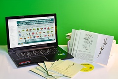 Гербарий натурально-интерактивный "Сельскохозяйственные растения" - fgospostavki.ru - Челябинск