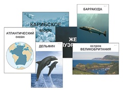 Модель-аппликация "Океаны. Знакомство" (ламинированная) - fgospostavki.ru - Челябинск