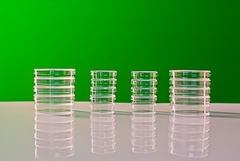 Набор чашек Петри - fgospostavki.ru - Челябинск