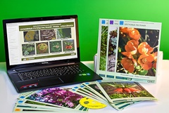 Гербарий натурально-интерактивный "Основные группы растений. Грибы. Лишайники" - fgospostavki.ru - Челябинск