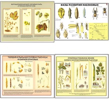 Плакаты ПРОФТЕХ "Вредители и болезни с/х культур и меры борьбы с ними" (11 пл, винил, 70х100) - fgospostavki.ru - Челябинск
