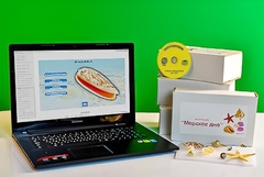 Коллекция натурально-интерактивная "Морское дно" - fgospostavki.ru - Челябинск