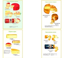 Плакаты ПРОФТЕХ "Ассортимент сыров" (9 пл, винил, 70х100) - fgospostavki.ru - Челябинск