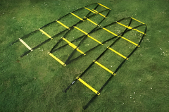 Лестница для тренировок (вариант 1) - fgospostavki.ru - Челябинск