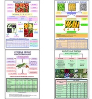Плакаты ПРОФТЕХ "Классификация овощей" (11 пл, винил, 70х100) - fgospostavki.ru - Челябинск