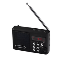 Радиоприемник цифровой с крупными кнопками - fgospostavki.ru - Челябинск