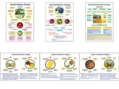 Плакаты ПРОФТЕХ "Плоды" (6 пл, винил, 70х100) - fgospostavki.ru - Челябинск