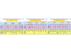 Плакаты ПРОФТЕХ "Ассортимент продовольственных товаров" (3 пл, винил, 70х100) - fgospostavki.ru - Челябинск
