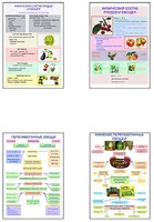 Плакаты ПРОФТЕХ "Классификация овощей и переработка" (8 пл, винил, 70х100) - fgospostavki.ru - Челябинск