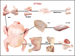 Таблица "Правила разделки мясных туш. Курица" (100х140 сантиметров, винил) - fgospostavki.ru - Челябинск