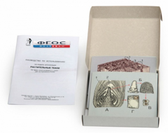 Модель-аппликация "Растительные ткани" (набор из 15 карт) - fgospostavki.ru - Челябинск