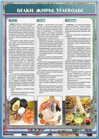 Стенд "Белки. Жиры. Углеводы" - fgospostavki.ru - Челябинск