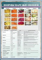 Стенд "Формы нарезки овощей" - fgospostavki.ru - Челябинск