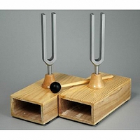 Камертоны на резонансных ящиках с молоточком - fgospostavki.ru - Челябинск