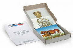 Модель-аппликация "Цикл развития бычьего цепня" (набор из 7 карт) - fgospostavki.ru - Челябинск