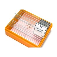 Набор готовых микропрепаратов (зоология) - fgospostavki.ru - Челябинск