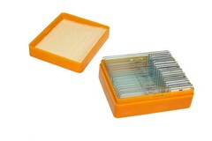 Набор готовых микропрепаратов (биология и физиология) - fgospostavki.ru - Челябинск