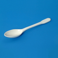 Ложка фарфоровая N2 - fgospostavki.ru - Челябинск