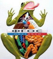 Модель барельефная "Внутреннее строение лягушки" - fgospostavki.ru - Челябинск