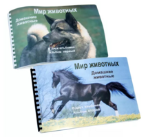 Пособие для слабовидящих - Домашние животные - fgospostavki.ru - Челябинск
