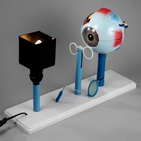 Модель "Зрение" (электрическая) - fgospostavki.ru - Челябинск