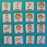 Набор карточек "Части тела" - fgospostavki.ru - Челябинск