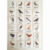 Набор карточек "ПТИЦЫ" - fgospostavki.ru - Челябинск