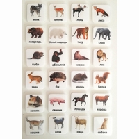 Набор карточек "ЖИВОТНЫЕ" - fgospostavki.ru - Челябинск