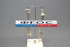 Скелет конечности овцы (передняя и задняя) на подставке - fgospostavki.ru - Челябинск