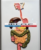 Модель барельефная "Пищеварительный тракт" - fgospostavki.ru - Челябинск