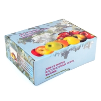 Набор муляжей "Дикая форма и культурные сорта яблок" - fgospostavki.ru - Челябинск