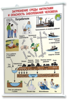 Плакаты по общей экологии для оформления кабинета. - fgospostavki.ru - Челябинск
